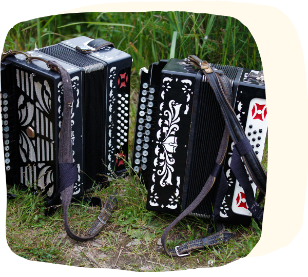 Zwei Akkordeons in Gras
