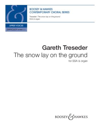 The snow lay on the ground