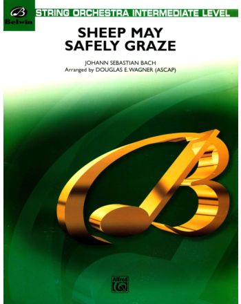 Cover - 648px hoch