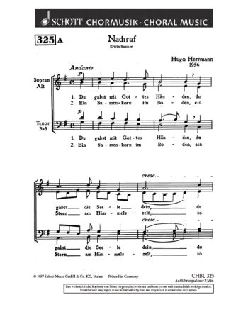 Cover - 648px hoch