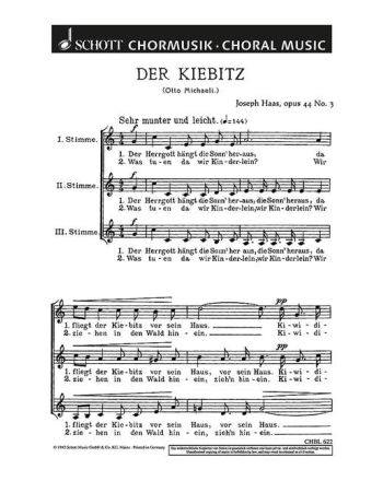 Cover - 648px hoch