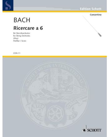 Cover - 648px hoch