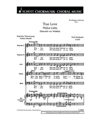 Cover - 648px hoch