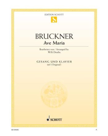 Cover - 648px hoch