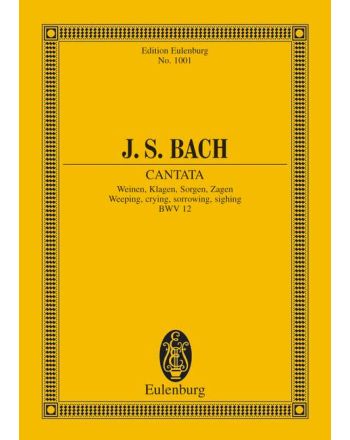 Cover - 648px hoch