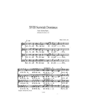 Cover - 648px hoch