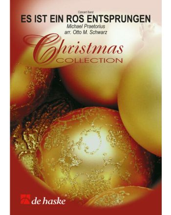 Cover - 648px hoch