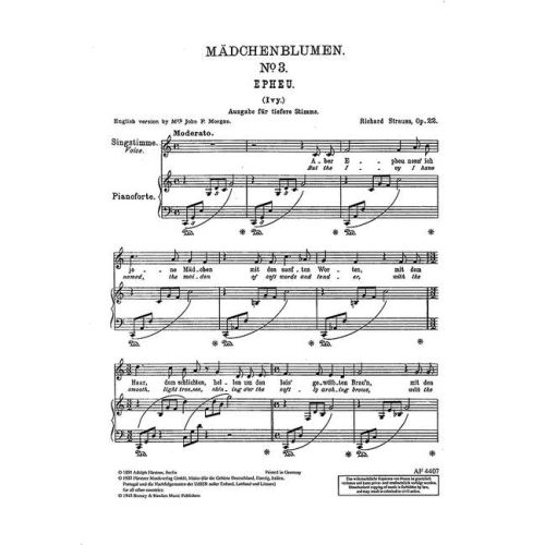 Cover - 648px hoch