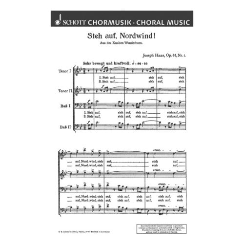 Cover - 648px hoch