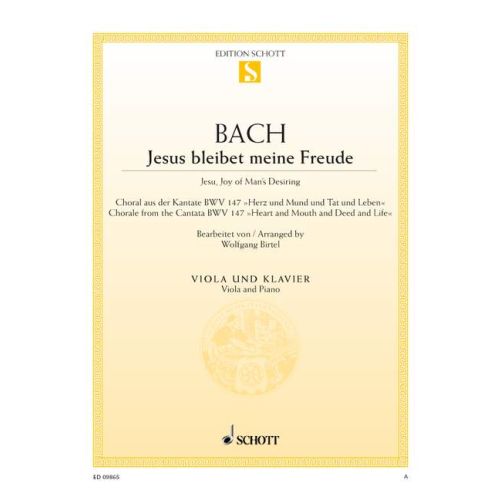Cover - 648px hoch