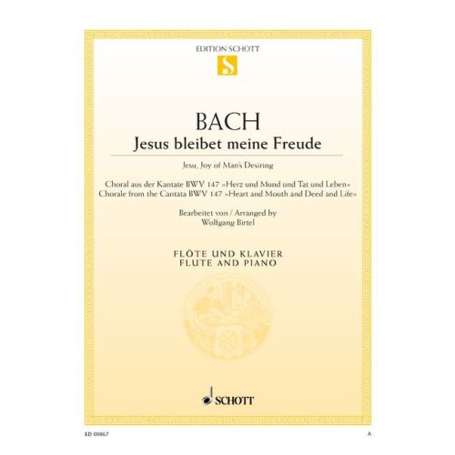 Cover - 648px hoch