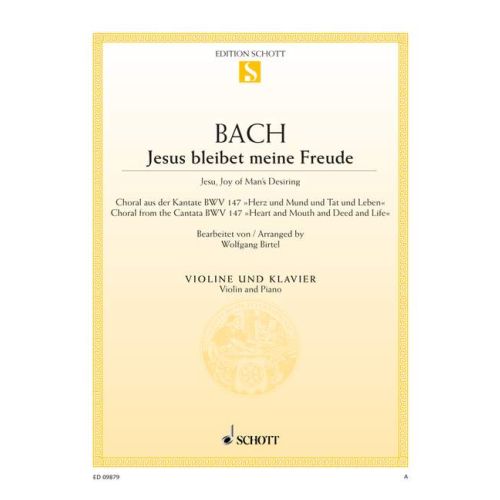 Cover - 648px hoch