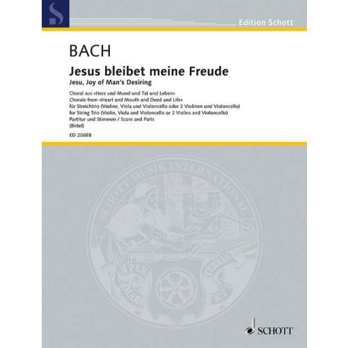 Cover - 648px hoch
