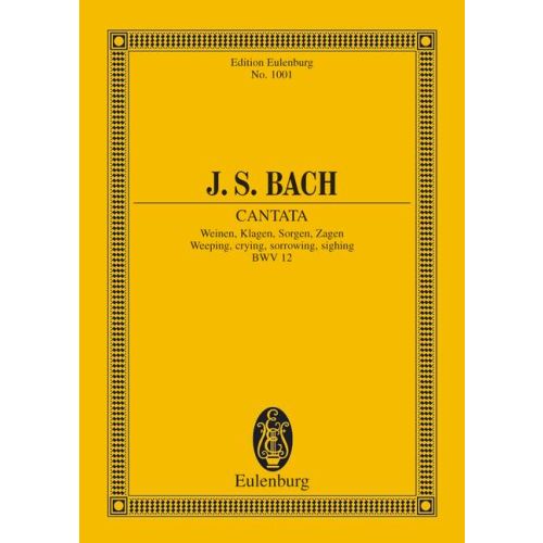 Cover - 648px hoch