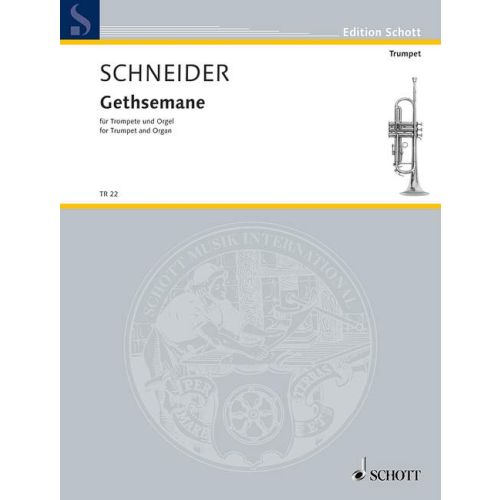 Cover - 648px hoch