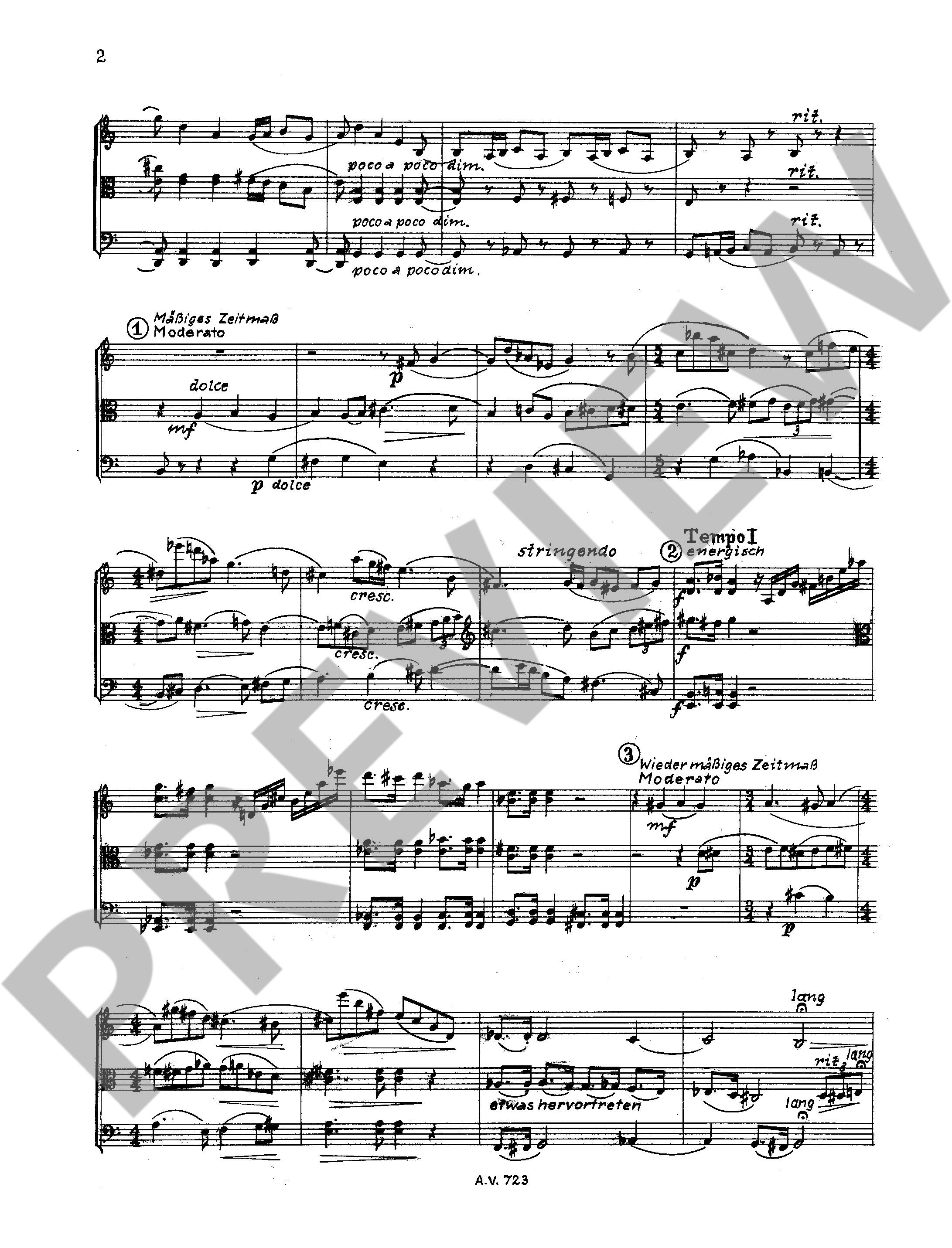 Sample 2 : Toelg, Georg : String trio in G major,  - string trio - Schott Digital