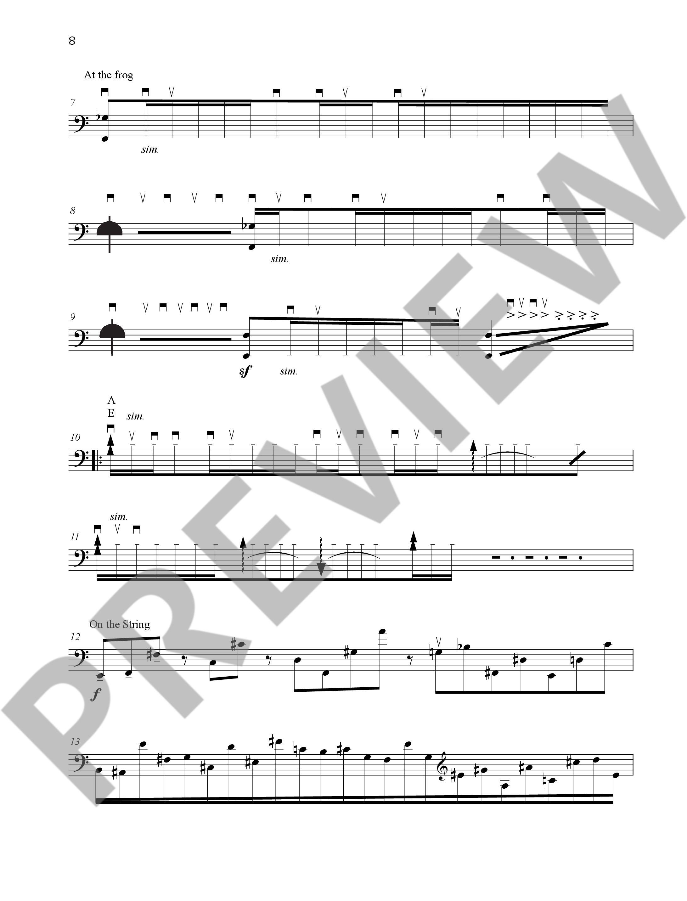 Capriccio per Siegfried Palm