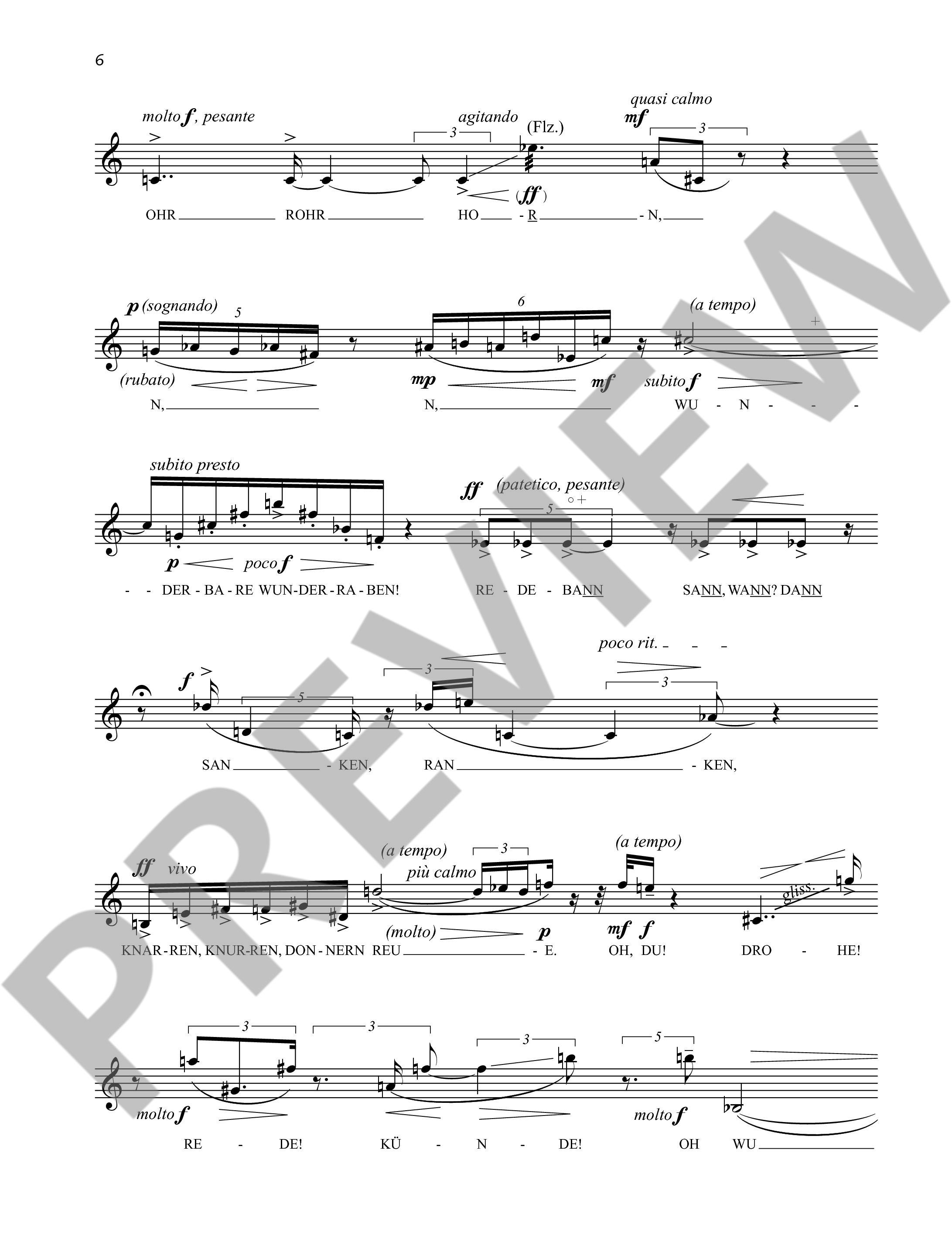 Sample 3 : Holliger, Heinz : Des Knaben Ohrwunder, Ein geschütteltes "Wunderhorn" for soprano solo - soprano s