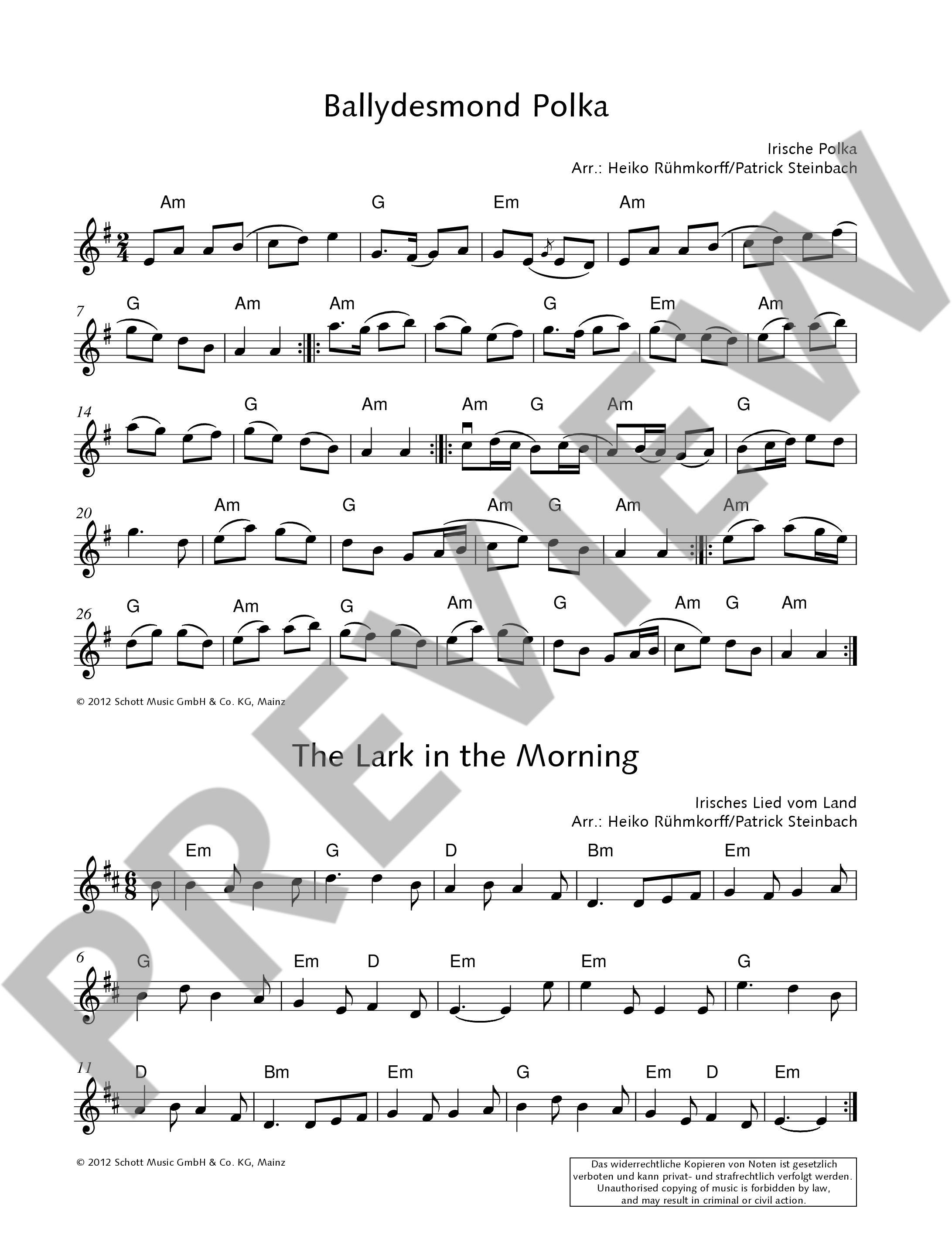 The Irish Violin Book