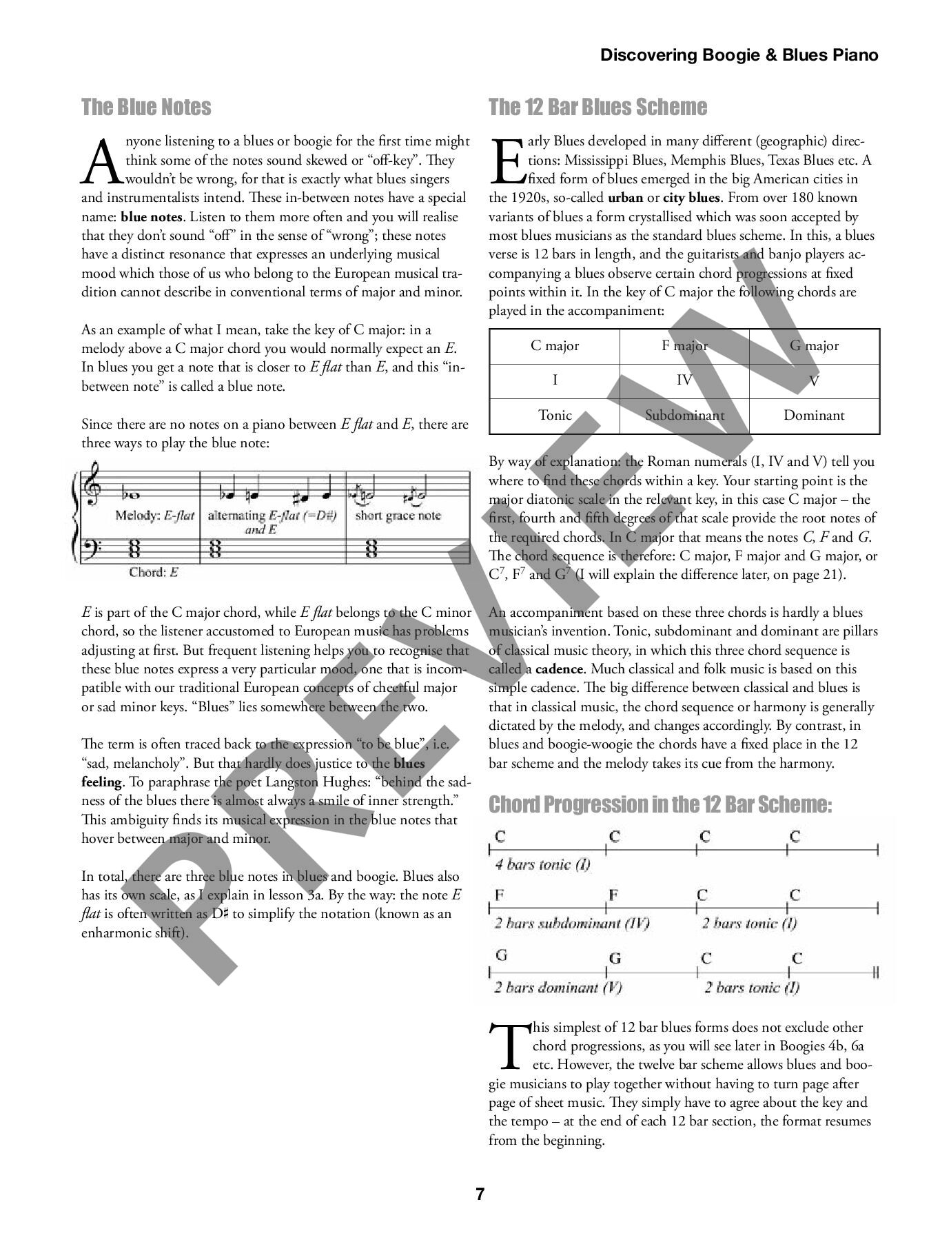 Sample 6 : Discovering Boogie & Blues Piano, A Systematic Method for learning licks, accompaniment patterns and